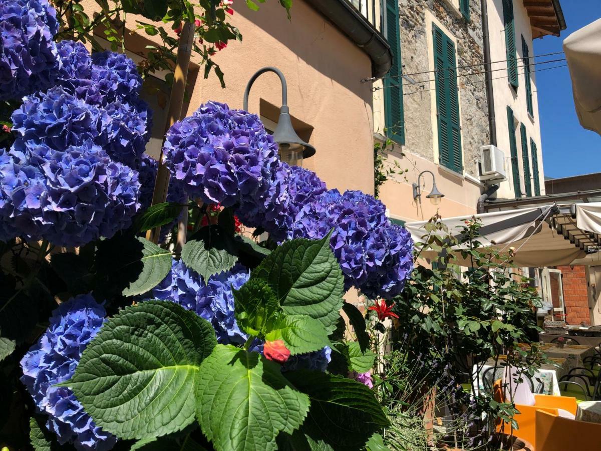 Hotel Antica Stallera Cannobio Exterior photo
